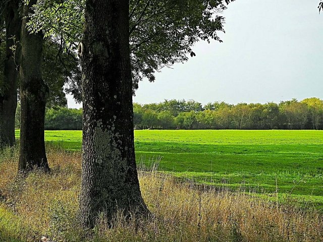 Csodálatos természet 22